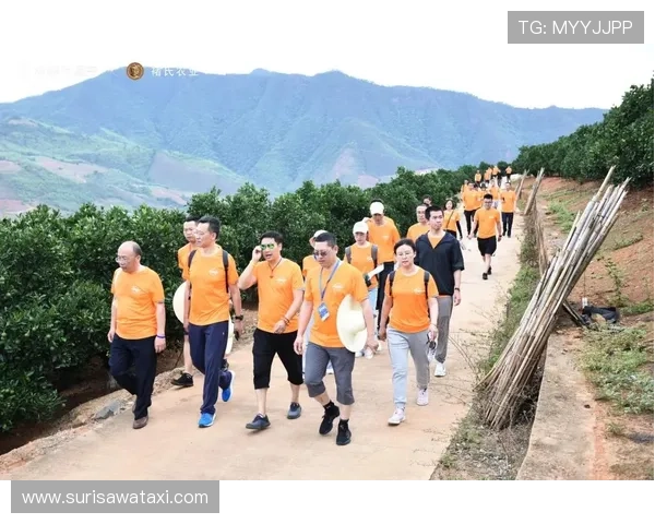 星空媒体官网：探索最新数字媒体技术与行业动态的权威平台