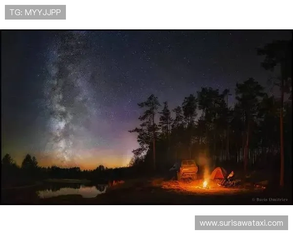 星空官方网站入口详细介绍，助您快速获取所需信息