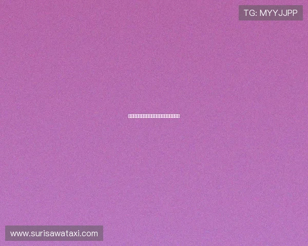 星空网官网登录入口的注册与登录流程全解析