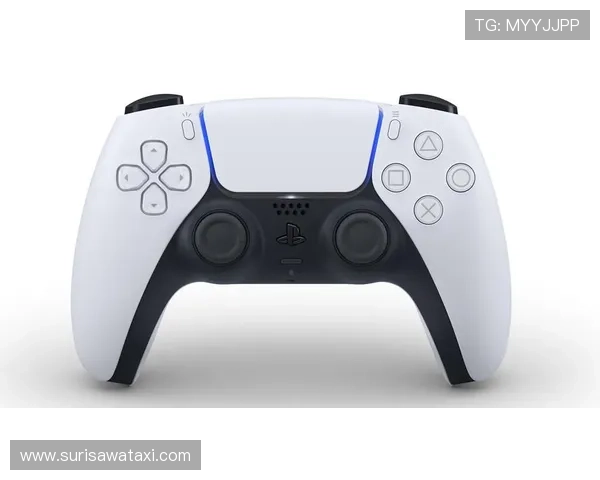 半岛app官网使用指南及实用技巧推荐