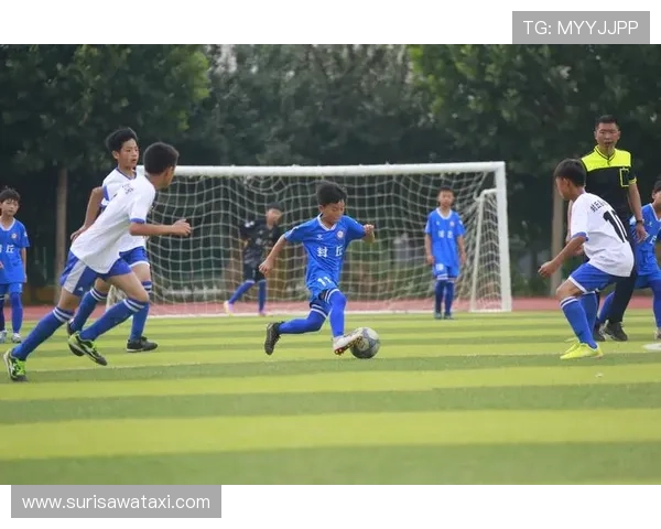 平博足球官网首页导航功能介绍特色板块一览与操作指南