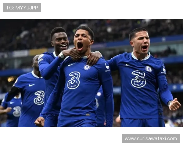 星空体育国际官网：专注青少年体育发展与国际赛事推广的领先平台